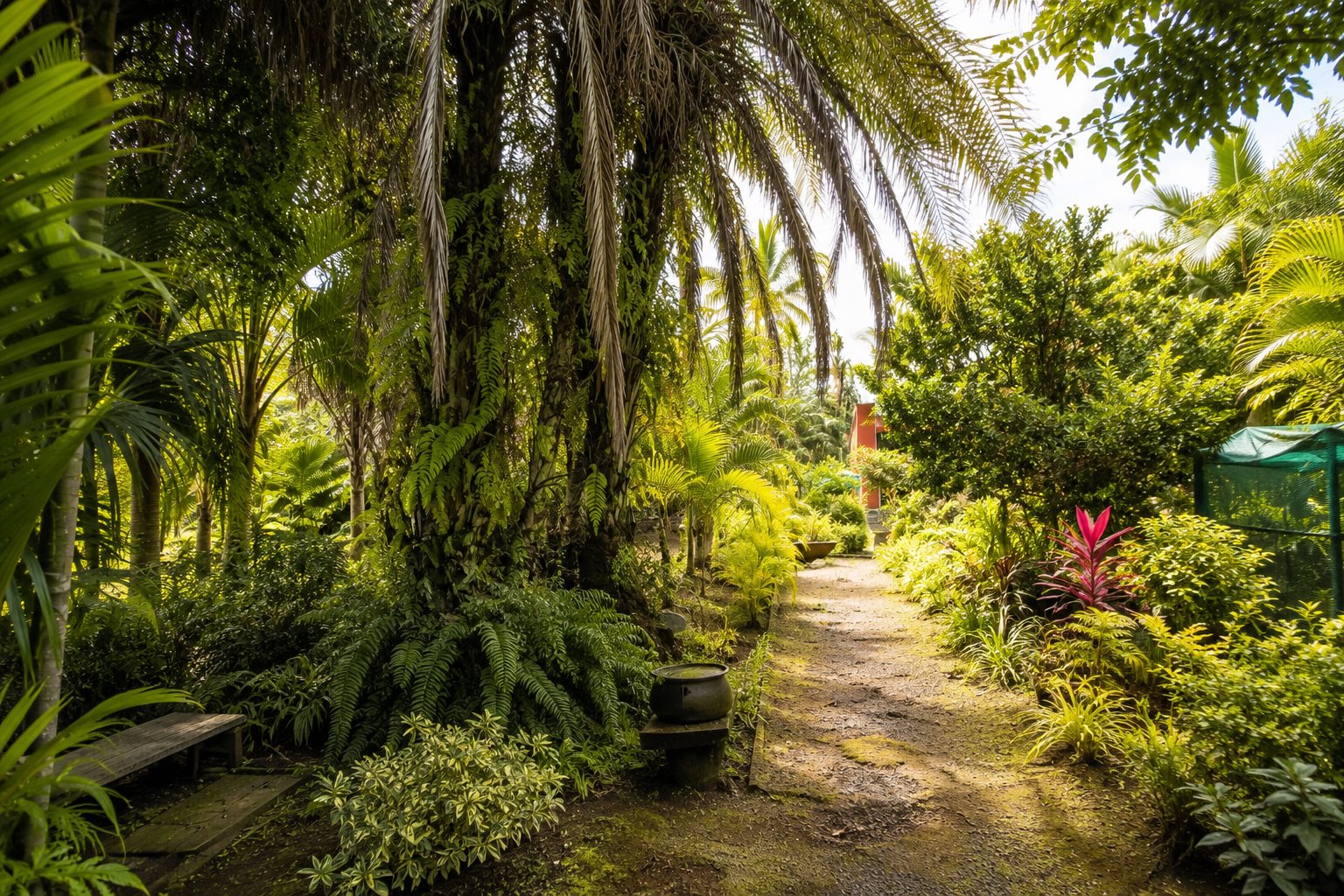 The Vanilla Farm