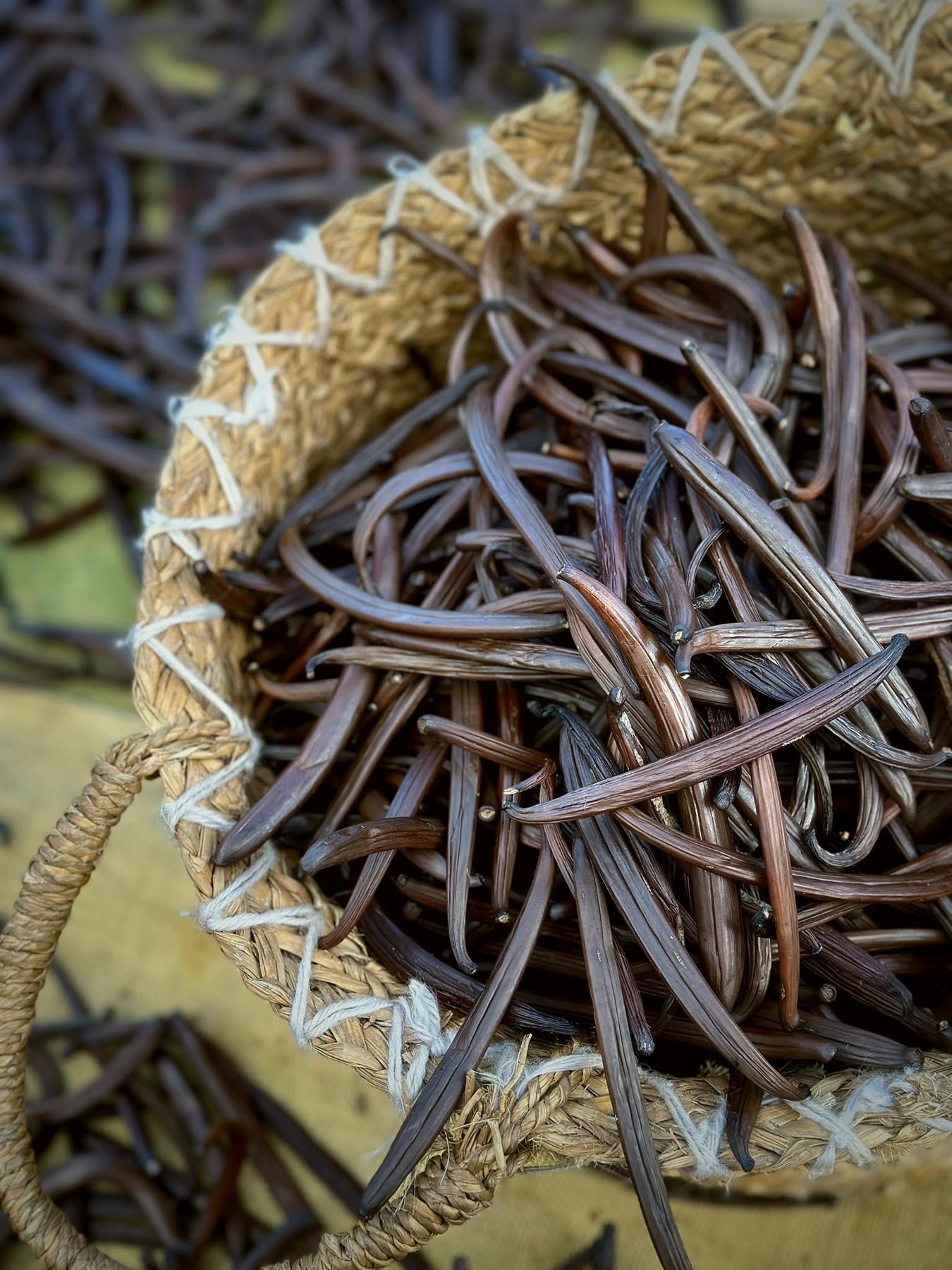 Visit the vanilla farm