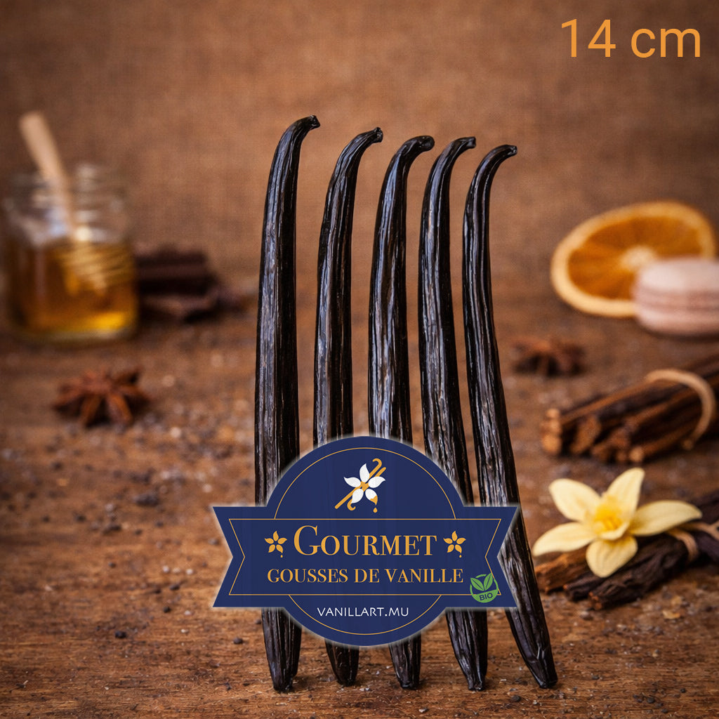 5 gousses de Vanille Coco GOURMET - 14 cm